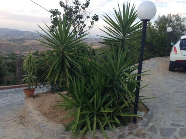 B&B Profumi Di Sicilia San Cataldo  Exterior foto